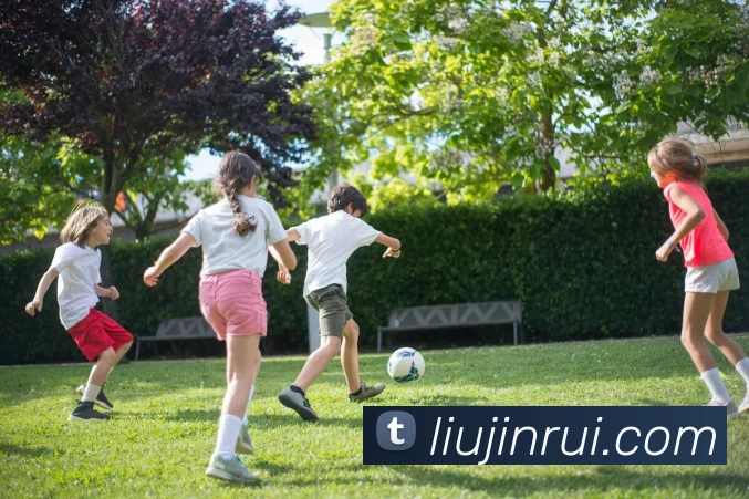 App Interface Preview