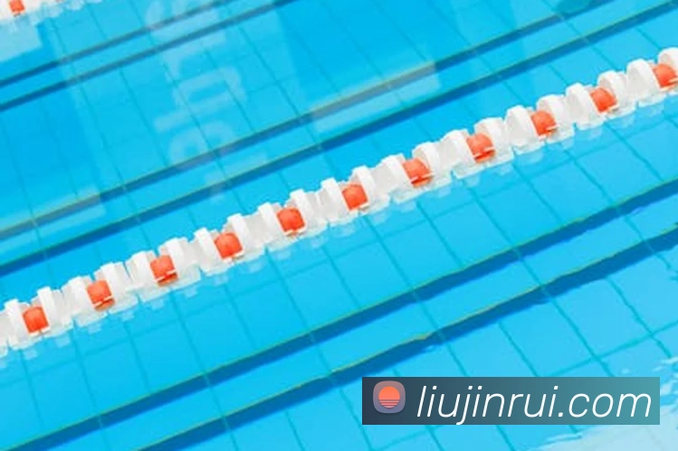 leyu乐鱼官方官网APP 封面图